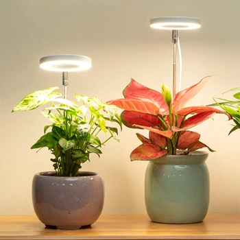 Светодиодный Светильник для Выращивания Полного Спектра USB Лампа Для выращивания растений Фитолампа Лампа для Выращивания с Таймером для Комнатных растений Суккуленты Саженцы Травы