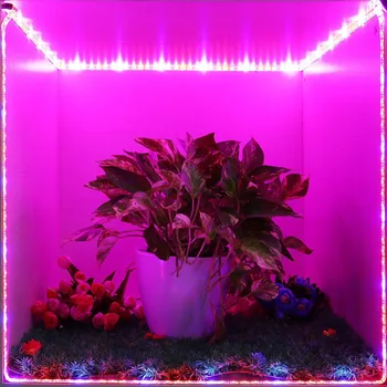 светодиодная лента для выращивания растений 5 М 5050, фитолампа полного спектра для выращивания растений в теплице, гидропоника, светильники для выращивания 12 В палатки